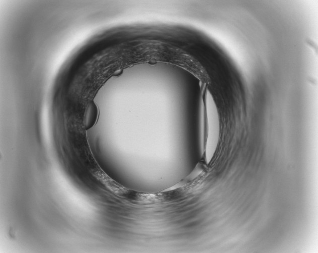 X0000093440239200711021100