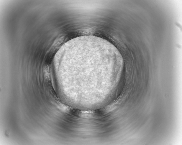 X0000093440240200711021100