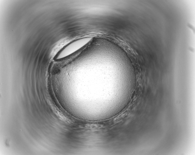 X0000093440242200711021059