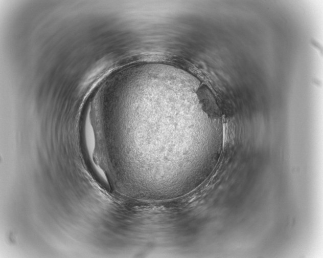 X0000093440243200711021059