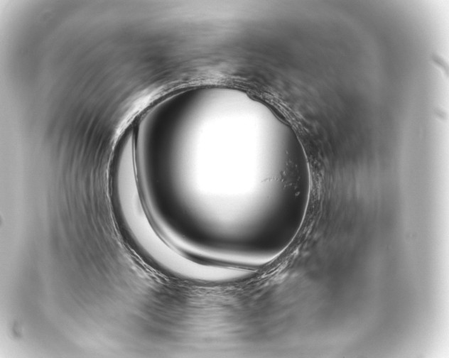 X0000093440244200711021059