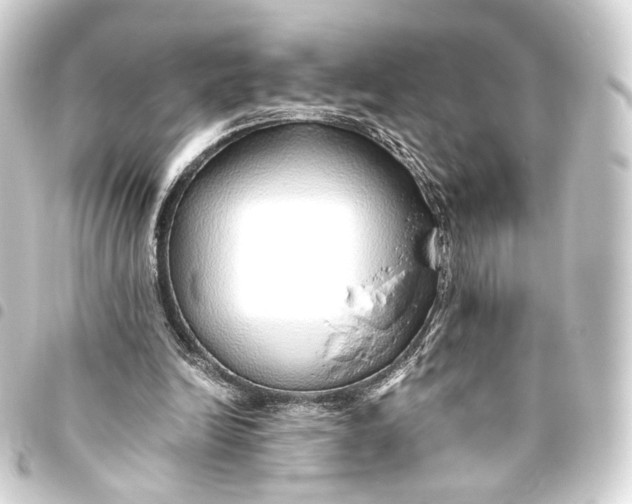 X0000093440246200711021059