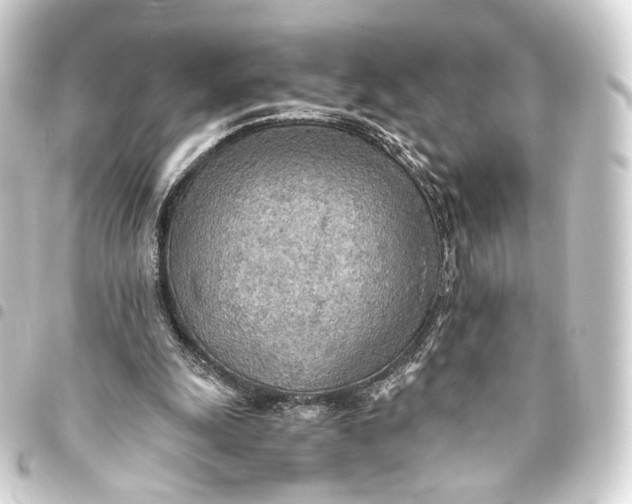 X0000093440247200711021059