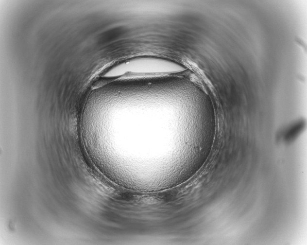 X0000093440249200711021059