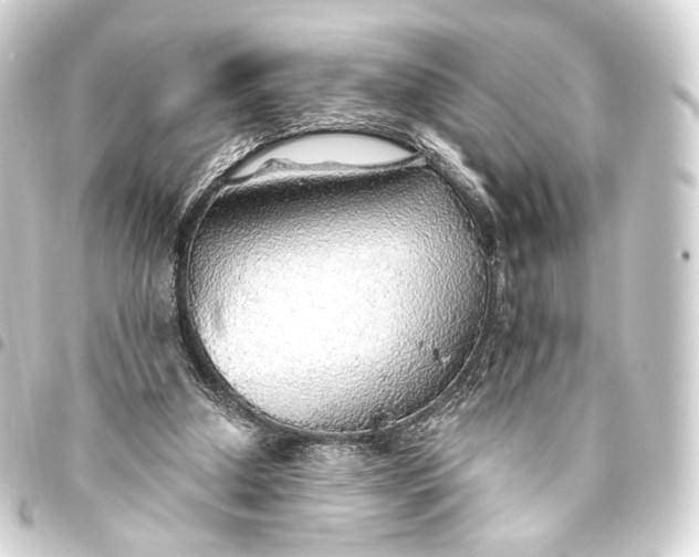 X0000093440250200711021100