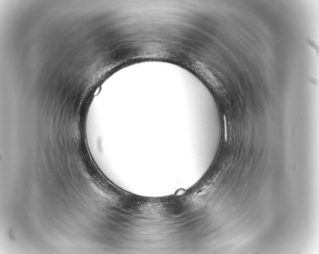 X0000093440252200711021100