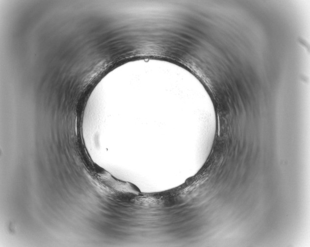 X0000093440253200711021100