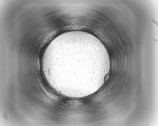 X0000093440254200711021100