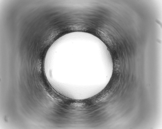 X0000093440255200711021100