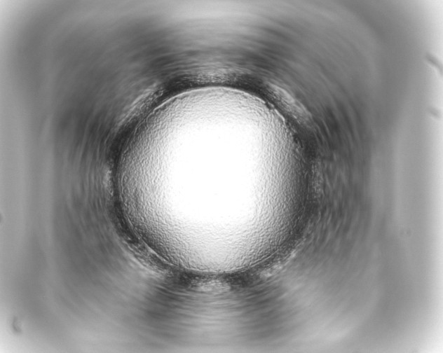 X0000093440258200711021100