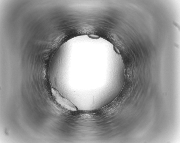 X0000093440259200711021100