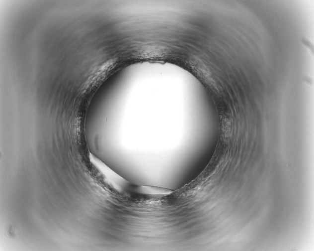 X0000093440260200711021100