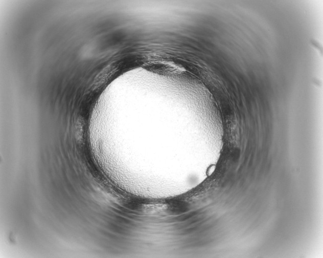 X0000093440266200711021100