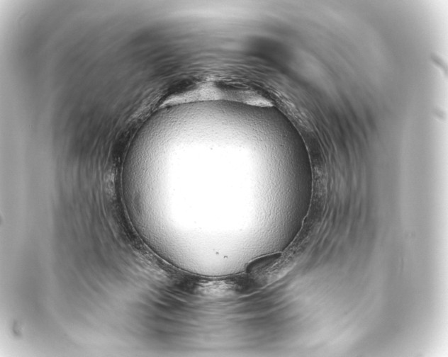 X0000093440269200711021100