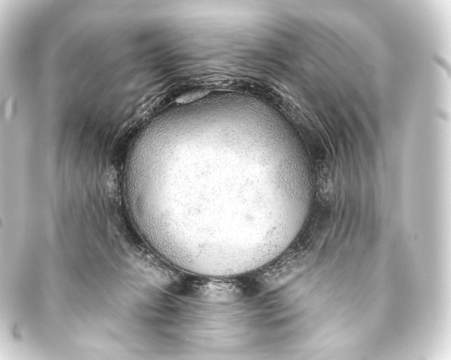 X0000093440270200711021100