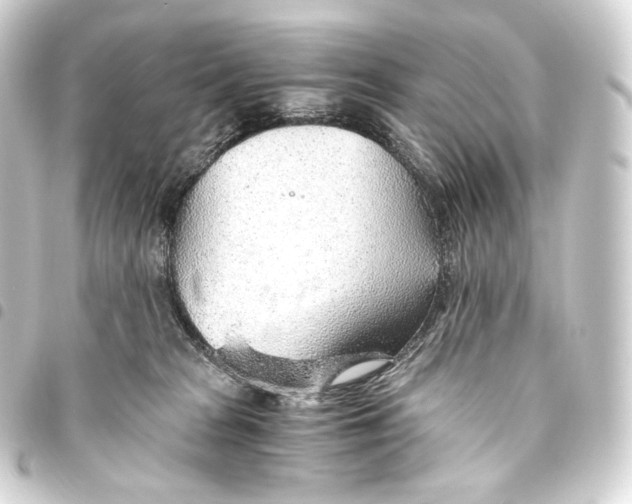 X0000093440277200711021100