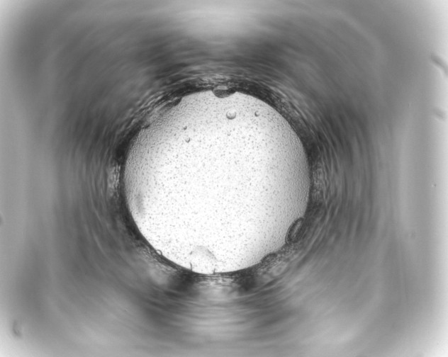 X0000093440278200711021100