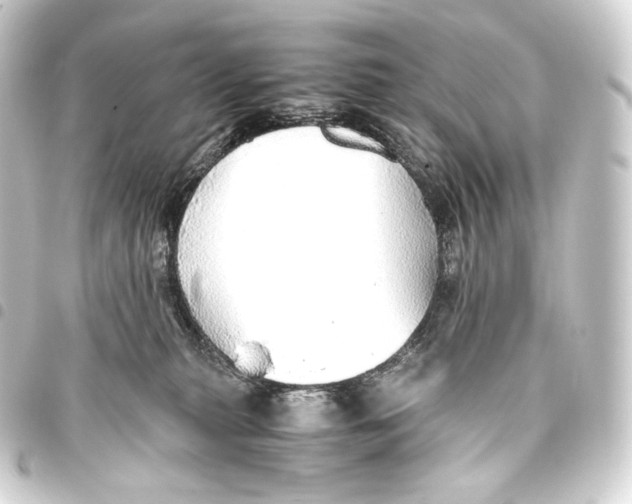 X0000093440279200711021100