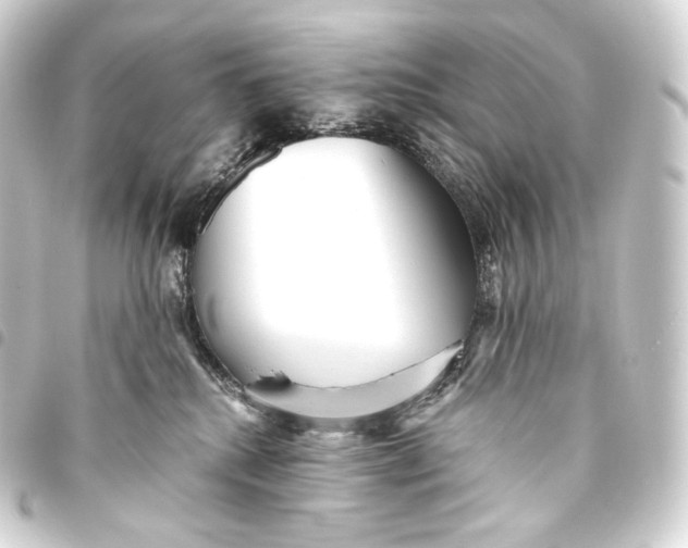 X0000093440280200711021100