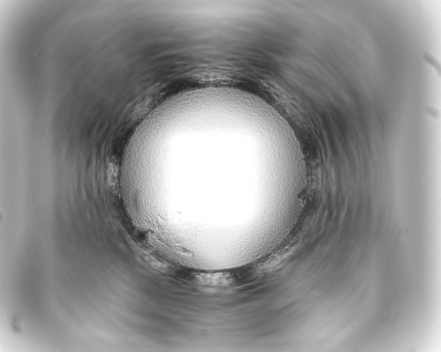 X0000093440281200711021100