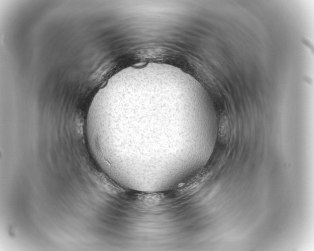 X0000093440282200711021100