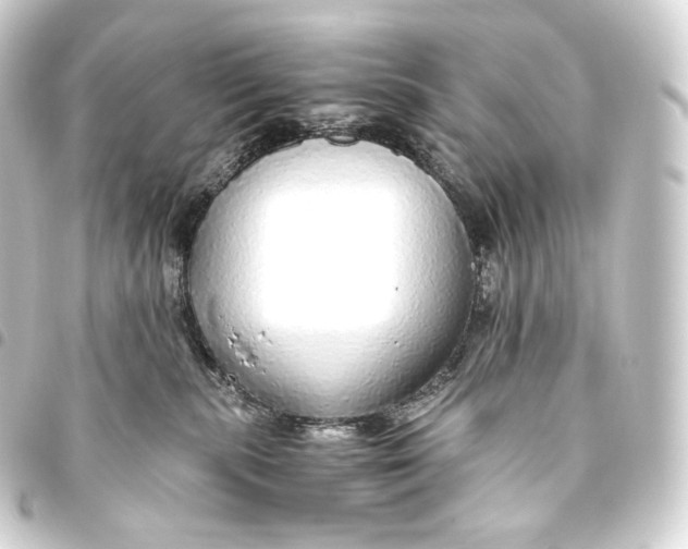 X0000093440283200711021100