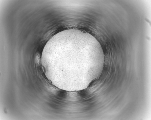 X0000093440287200711021100