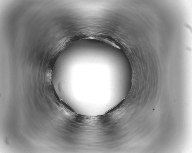 X0000093440288200711021100