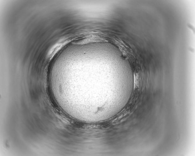 X0000093440291200711021059