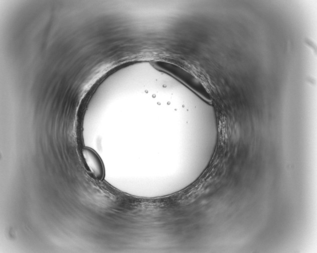 X0000093440292200711021059