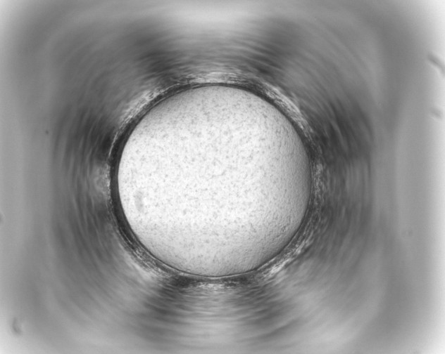 X0000093440298200711021059