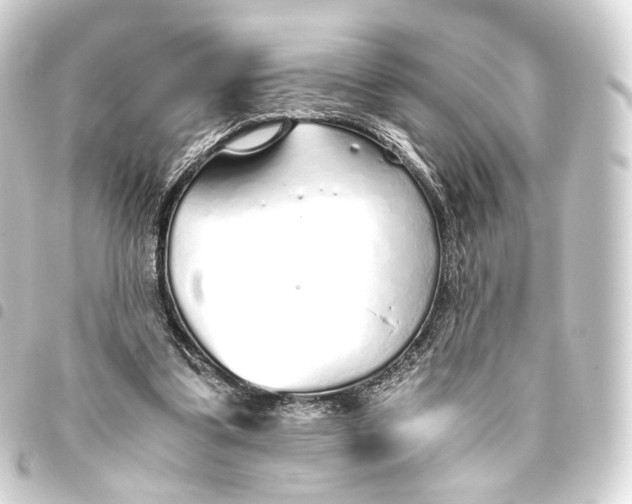 X0000093440299200711021059