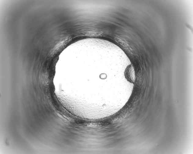 X0000093440303200711021059