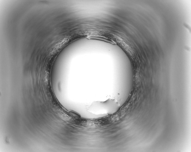 X0000093440305200711021059