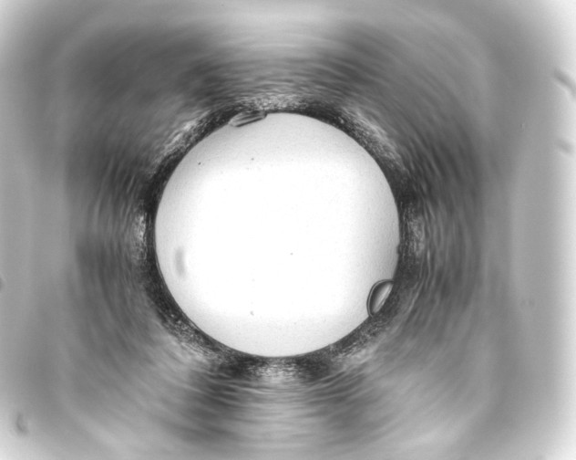 X0000093440308200711021059