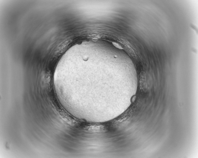 X0000093440314200711021059