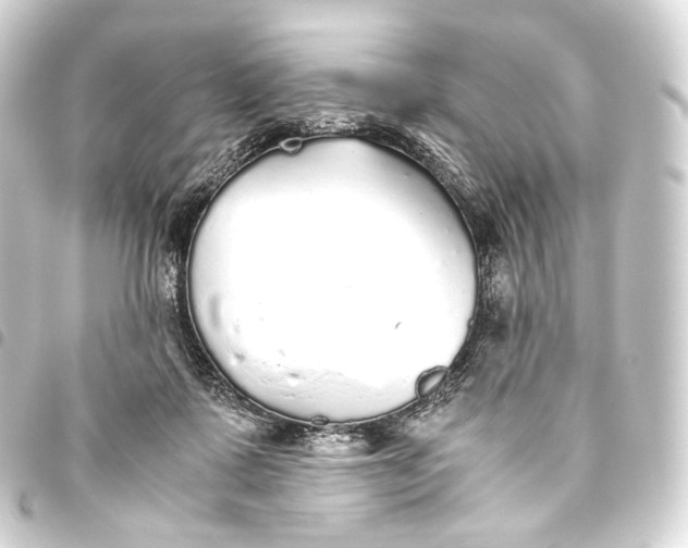 X0000093440315200711021059