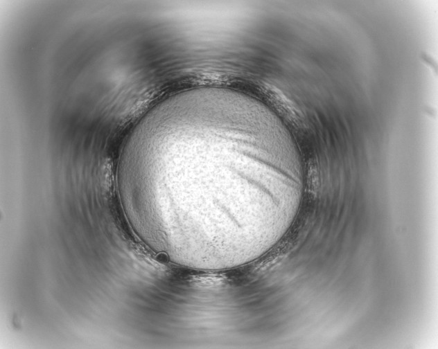 X0000093440318200711021059