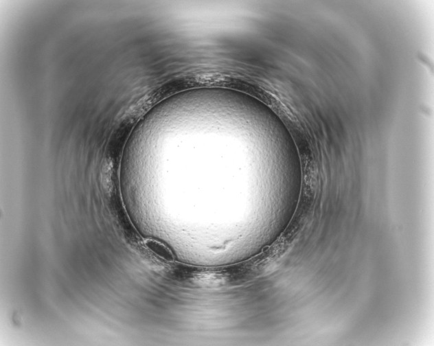 X0000093440319200711021059