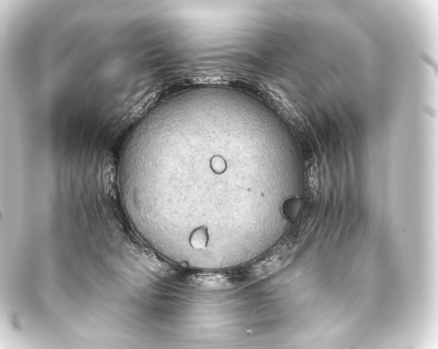 X0000093440322200711021059