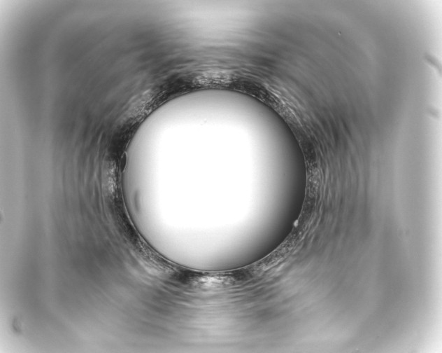 X0000093440323200711021059