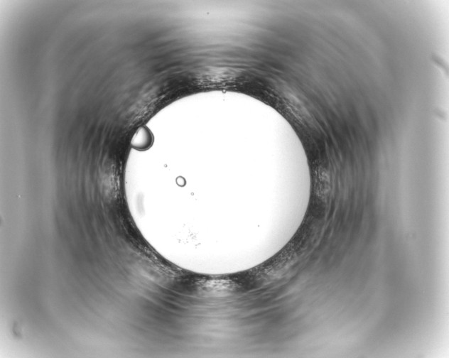 X0000093440324200711021059