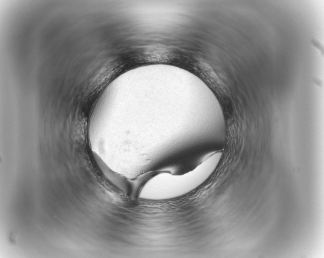 X0000093440325200711021059