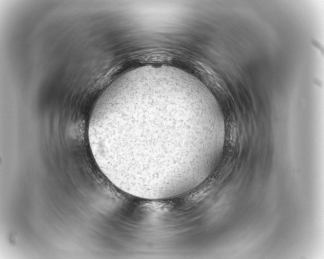 X0000093440326200711021059