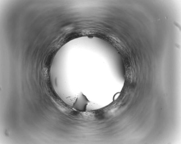 X0000093440327200711021059