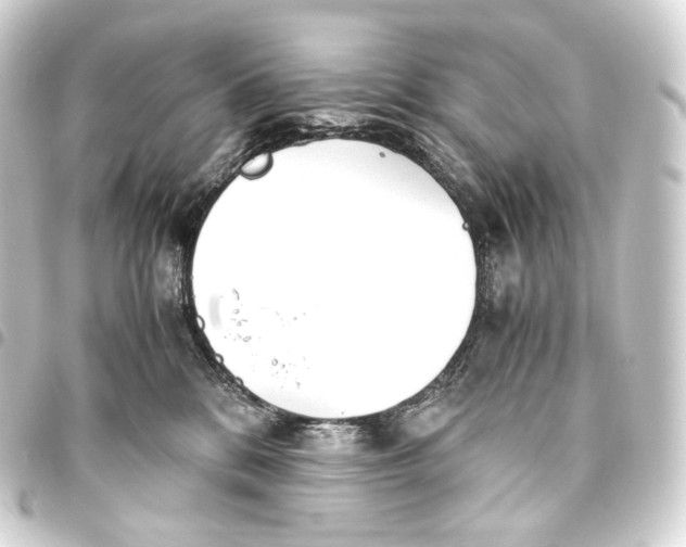 X0000093440328200711021059