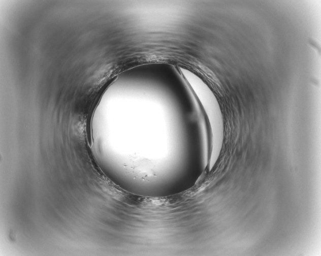 X0000093440329200711021059