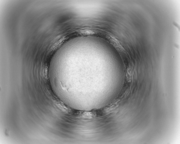 X0000093440330200711021059