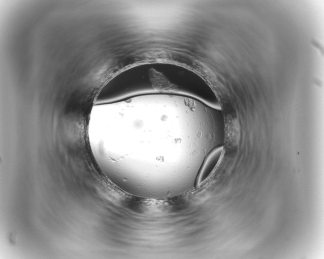 X0000093440333200711021059