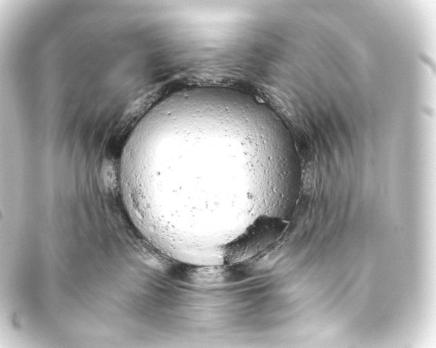 X0000093440335200711021058